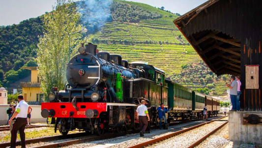 Viaje en Tren Histórico por Duero